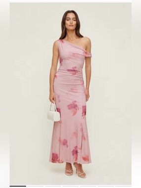Dynamite Mesh Maxi Pink Floral Dress